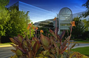 Commercial landscaping example