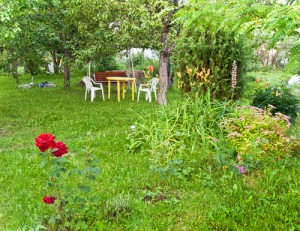 yard