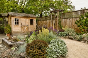 small backyard