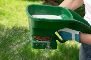 Weed Season - Five Star Landscaping - Lawn Care Calgary