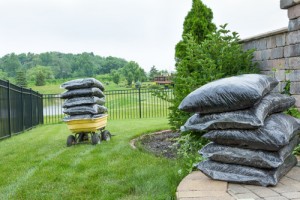 Should You Invest in an Experienced Company to Take Care of Your Lawn Needs? - Five Star Landscaping - Lawn Care Calgary