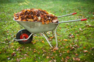 Winterizing your Lawn - Fivestar Landscaping - Snow Shovelling Service Calgary