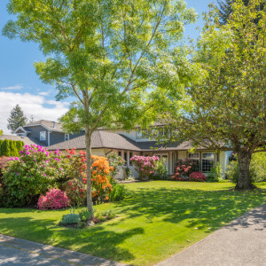 Are you Accidentally Killing your Trees? - Five Star Landscaping - Professional Landscapers Calgary
