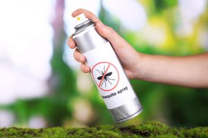 Natural Mosquito Control for Your Yard - Five-Star Landscaping - Calgary Landscaping Experts
