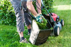 Have a Professional Team Keep your Lawn Healthy while You're on Vacation - Five Star Landscaping - Lawn Maintenance Calgary