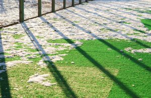 Winter Lawn Care - Five Star Landscaping - Snow Removers Expert