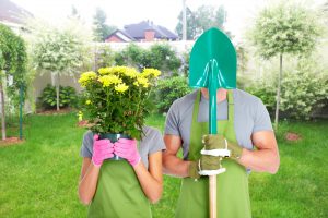 What Sets Five-Star Landscaping Apart - Five-Star Landscaping - Landscaping Calgary