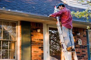 Have You Scheduled Your Fall Clean Up? - Five Star Landscaping - Landscaping Experts Calgary