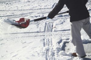 Tired of the Snow? - Five Star Landscaping - Lawn and Landscaping Experts