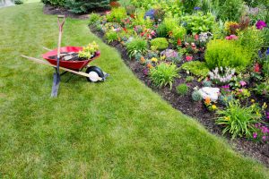 How Early is Too Early to Start Landscaping? - Five Star Landscaping - Landscaping Experts Calgary