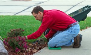 Why a Newly Landscaped Yard is the Perfect Father's Day Gift - Five Star Landscaping - Landscaping Experts Calgary