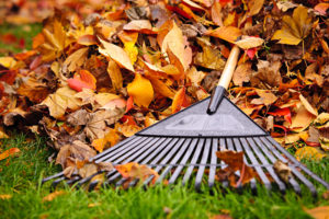 Are You Ready for Your Fall Clean Up? - Five Star Landscaping - Expert Landscapers Calgary