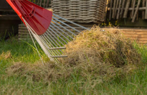 Does It Make Sense to Aerate in Both Spring and Fall? - Five Star Landscaping - Landscaping Experts Calgary