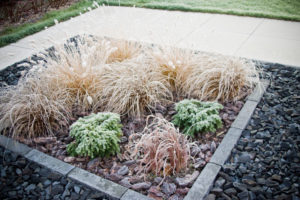 Fun Landscaping Ideas for the Holidays - Five Star Landscaping - Landscaping Experts Calgary