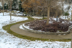 Getting Started on Your New Yard this New Year - Five Star Landscaping - Landscaping Experts Calgary - Featured Image