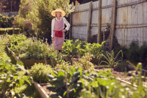 Landscaping Design Trends Going into 2020 - Five Star Landscaping - Landscaping Experts Calgary - Featured Image